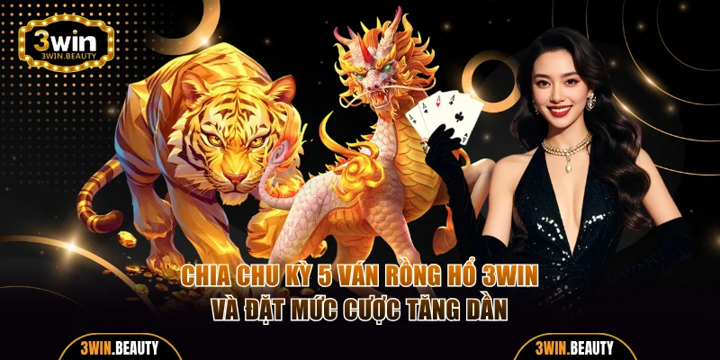 Chia chu kỳ 5 ván Rồng Hổ 3WIN và đặt mức cược tăng dần