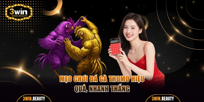 Chiến thuật cược Thomo hiệu quả bạn có thể áp dụng