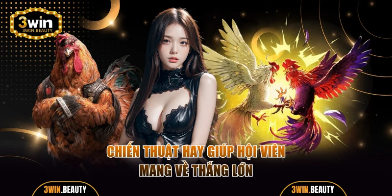 Chiến thuật hay giúp hội viên mang về thắng lớn