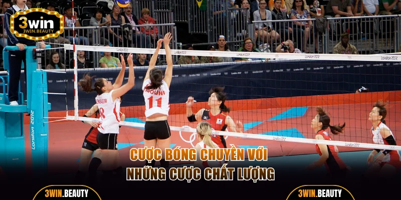 Cược bóng chuyền với những cược chất lượng