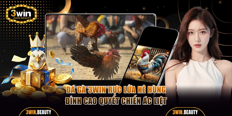 Đá Gà 3WIN Rực Lửa Kê Hùng Đỉnh Cao Quyết Chiến Ác Liệt