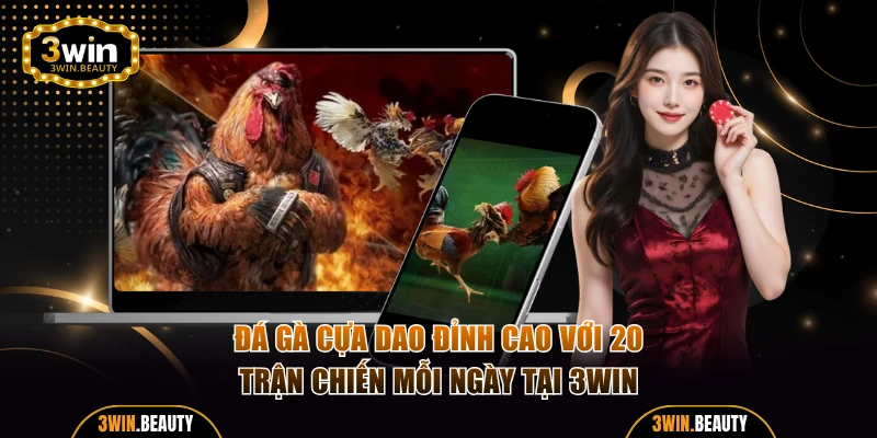 Đá gà cựa dao