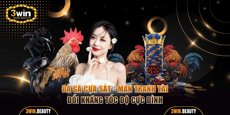 Đá gà cựa sắt