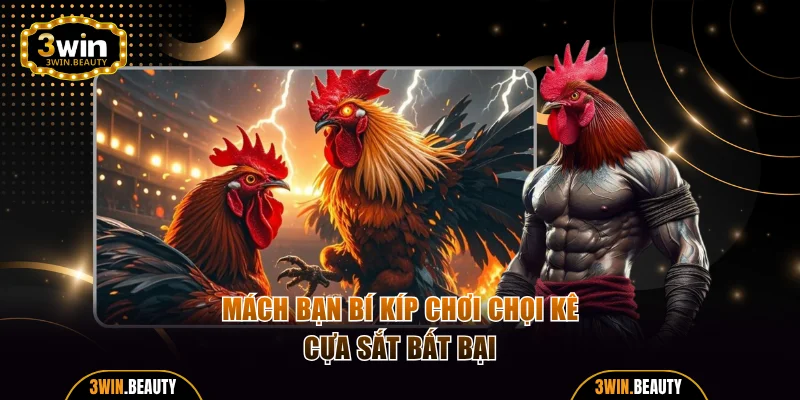Mách bạn bí kíp chơi chọi kê cựa sắt bất bại