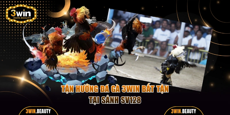 Tận hưởng đá gà 3WIN bất tận tại sảnh SV128