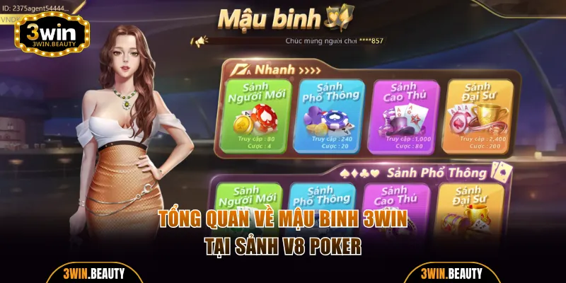 Tổng quan về Mậu Binh 3WIN tại sảnh V8 Poker